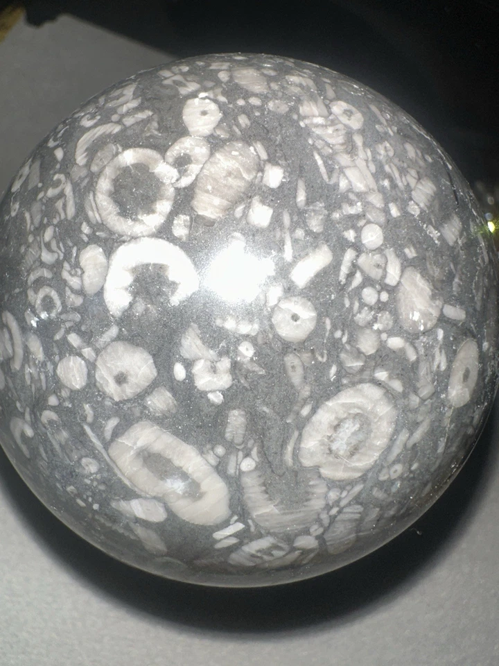 GENUINE Crinoid Fossils Sphere. Rare Find, One-of-a-kind - Image 1 of 4