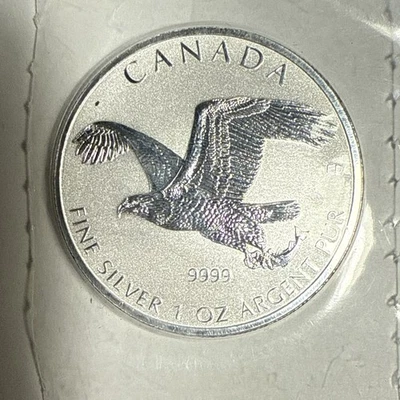 2017 RCM Canada Bald Eagle 1 oz .9999 Fine Silver Reverse Proof In OG Packaging - Image 1 of 3