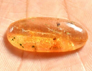 Piedra preciosa ámbar fósil amarillo natural de Tanzania de 5,70 quilates certificada por insectos - Imagen 1 de 6