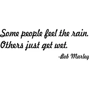 Some People Feel The Rain - Bob Marley Vinyl Decal - Picture 1 of 2