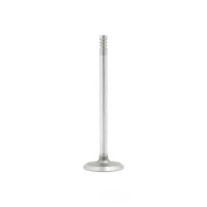 Engine Intake Valve fits 2009-2010 Volkswagen Routan DNJ ENGINE COMPONENTS - Picture 1 of 1