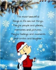 Charlie Brown Beautiful Things In Life POSTER 24 X 18 INCH Christmas Wall Art - Picture 1 of 2