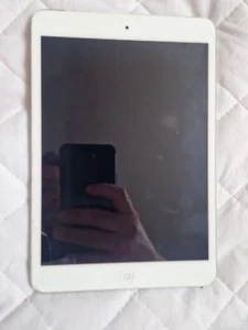 iPad Mini Wi-Fi Cellular - Picture 1 of 7