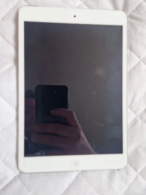 iPad Mini Wi-Fi Cellular  - Image 1 of 4