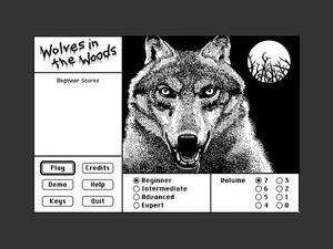 Vintage Macintosh Mac Program WOLVES IN THE WOODS 800K Disque 512k Plus SE Classic - Photo 1/3