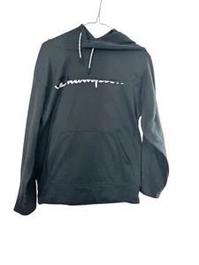 Champion Authentic Athleticwear Lightweight Hoodie - Men's Small - Picture 1 of 7