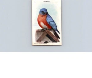 1938 Arm & Hammer Useful Birds of America 9th Series Bluebird No 10 - Picture 1 of 2
