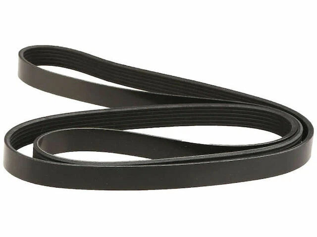 Cinturón Dayco Multi Rib para Buick Century 1999-2005 94QVSW Foto 1 de 1