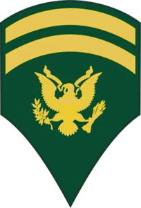 5" ARMY SPECIALIST E-6 SPC6 STICKER DECAL MADE IN USA - Picture 1 of 1