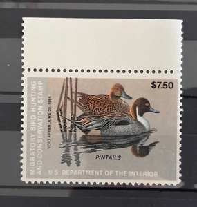 Sello de caza Scott RW50, $7,50 1983 pintails, margen único, en muy buen estado MNH (R7-M) - Imagen 1 de 1