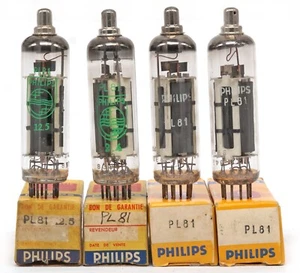 ONE PL81/21A6/N152 PHILIPS NOS Tube Röhre Lampe TSF Valvola Valvula 진공관 真空管 电子管 - Picture 1 of 1