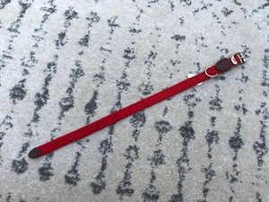 ASPEN Red Dog Collar - Up to 20 lbs - 5/8" x 14" - Picture 1 of 4