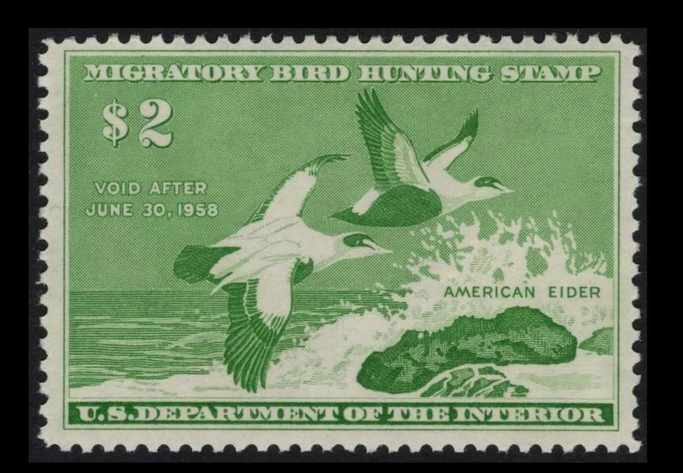 RW24 Duck Hunting $2 Green AMERICAN ELDERS 1957 MNH $85 SEE PHOTOS Lot Q-694 - Image 1 of 1