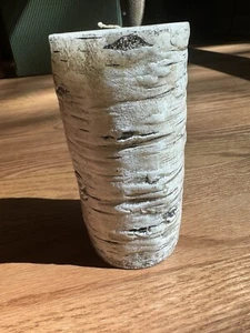 St. Nicholas Square Birch Bark Candle 14.46 Oz, 6 Inch Tall, 3 Inch Diameter - Picture 1 of 6