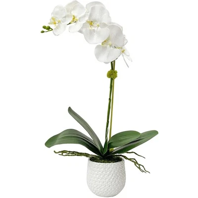 Uttermost 60178 Cami White Ceramic Orchid - Image 1 of 4