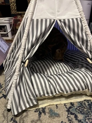 Tipi para mascotas perro cachorro gato cama portátil mascota lona tienda y casa usada Foto 1 de 4