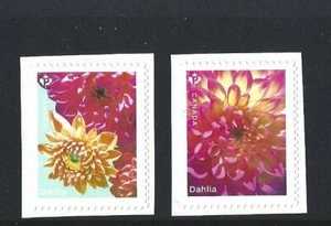 CANADA 2020 DAHLIAS SET 2 SELF ADHESIVE UNMOUNTED MINT, MNH - Picture 1 of 1