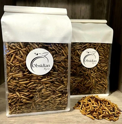 1lb. DRIED Black Soldier Fly Larvae *USA FARM RAISED *All-Natural - Image 1 of 4