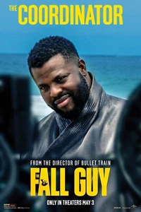 The Fall Guy (2024)_14 Poster Canvas Movie Film Print A0 A1 A2 A3 A4 A5 A6 Art W - Picture 1 of 11