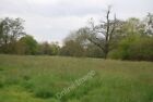 Photo 6X4 Marshland Vegetation On The Valley Floor Of The Sussex Ouse Fle C2010
