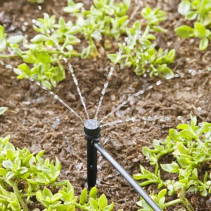 Burbujeador de pulverización de corriente ajustable Raindrip 15500UB 30 PSI 0 a 20 GPH 1/4 pulgada Barb - Imagen 1 de 1