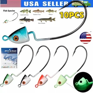 10Pcs Bullet Jig Heads Fishing Hooks Texas Rig Offset Weighted Worm Hook 5g-14g - Picture 1 of 15