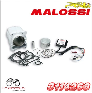 3114268 MALOSSI GRUPPO TERMICO I-TECH �74 MBK EVOLIS 250 ie 4T LC 2014 -- - Imagen 1 de 1