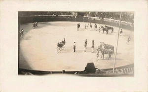 RPPC Bull Fight Vintage PC Mexico? - Picture 1 of 2