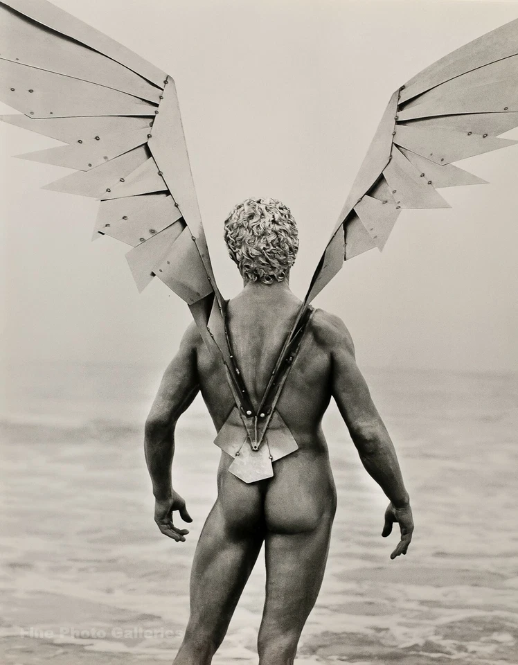 1996 年复古 HERB RITTS 男性裸体 VLADIMIR Wings 太阳马戏团照片艺术 16x20 — 第 1/1 张图片