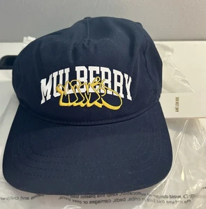 Aime Leon Dore Mulberry Throwie Hat - Picture 1 of 8