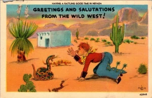 Postcard Greetings and Salutations from the Wild West Humor Comic SEE Corner - Picture 1 of 2