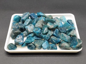 4 oz lot of Blue Apatite Crystal Tumbled Stones Stone of Manifestation Energy - Picture 1 of 2