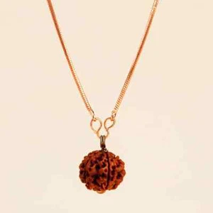 Adiyogi Rudraksha with copper chain (Long Chain). Energized Isha Panchamukhi - Picture 1 of 11