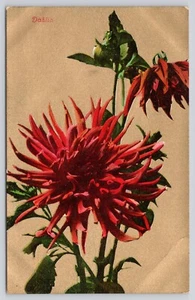 Dahlia Red Flower on Gold Background Undivided Back Postcard - Picture 1 of 2