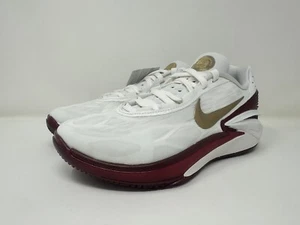 FN0299 121 Nike Air Zoom GT Cut 2 Sisterhood Summit White 10 Wmns/8.5 Men's - Picture 1 of 7