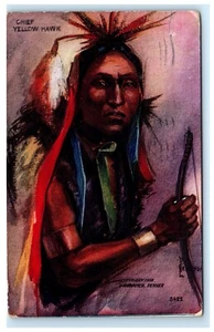 Chief Yellow Hawk Native American Postcard Embossed Tammen D13 - Picture 1 of 2