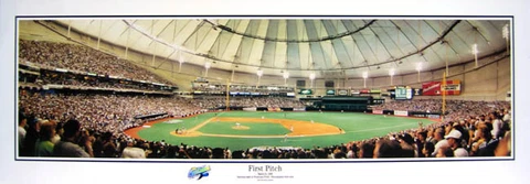 1998 Tampa Bay Rays Tropicana Field First Pitch Panoramic Poster #2010 Cover