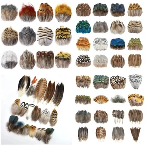 Natural Feathers Pheasant Chicken Rooster Trimmings Craft Costume Decorative UK - Picture 1 of 79