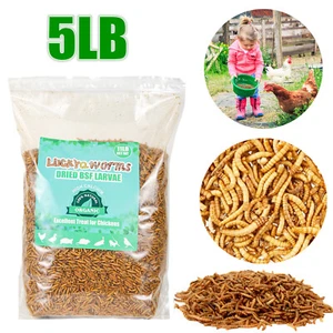 5LB Dried Black Soldier Fly Larvae Mealworms for Chickens 100% Natural Premium - Picture 1 of 10
