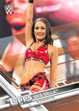 2017 Topps WWE Then Now Forever Bronze Wrestling Cards Pick From List 101-200