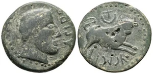 ASIDO (Medina Sidonia, Cádiz). As. (Ae. 14,59g/30mm). 50 a.C. Anv: Cabeza mascu - Imagen 1 de 1