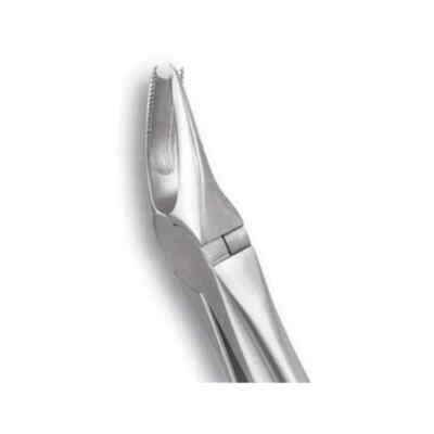 GDC Extraction Forceps Upper Molars Right Standard - (FX89S)