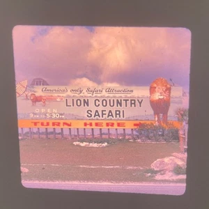 15 diapositivas de transparencia Kodachrome 1970 LION COUNTRY SAFARI elefante jirafa de colección - Imagen 1 de 23