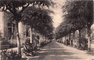 5278 RAVENNA RIOLO - Picture 1 of 1