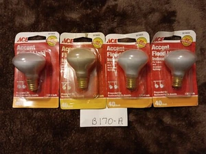 4 ACE 3019825 40W Intermediate Accent R14 FloodLights - Picture 1 of 2