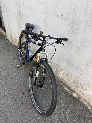 2003 Gary Fisher Paragon 29er (US made) - Image 1 of 4