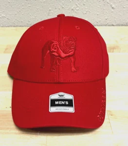 NEW Georgia Bulldogs Fan Favorite Hat Red Snapback Cap Adjustable UGA - Picture 1 of 2