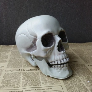 Halloween Calavera Utilería Cabeza Humana Realista Esqueleto Casa Embrujada Horror Decoración - Imagen 1 de 14