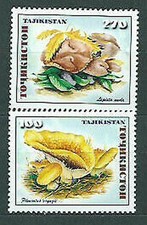 Tagikistan - Posta Yvert 128/9 MNH Funghi