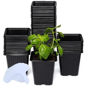 60Pack Square Nursery Pots - 3.8 Inch Reinforced Nursery Pots for Plants with... - Picture 1 of 7